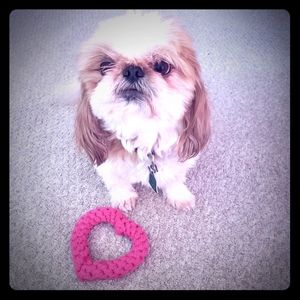 Doggy Heart Toy | Pink Benefits ASPCA